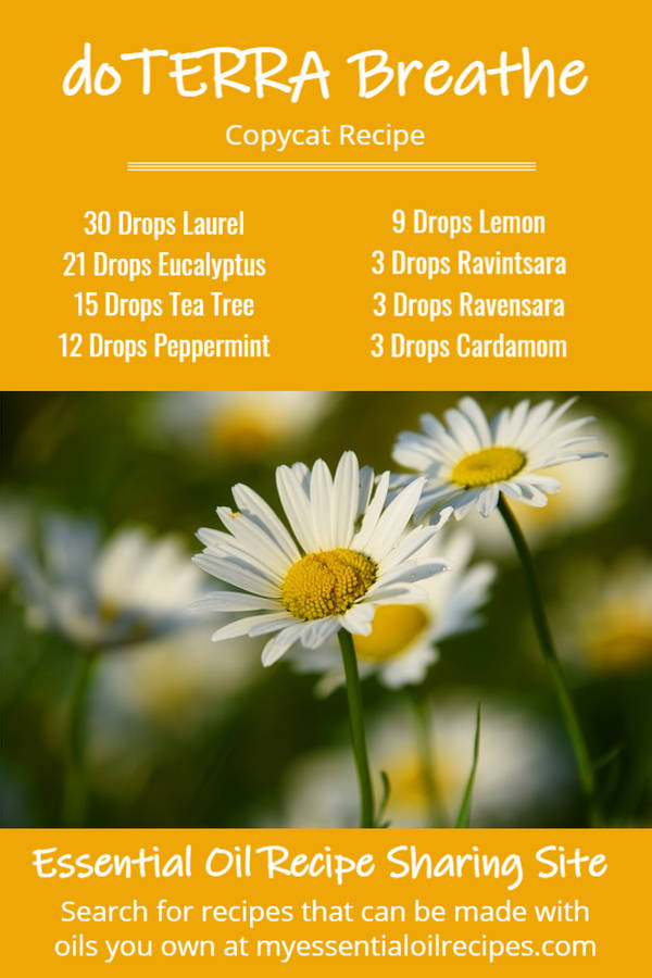 Infographic - Copycat Recipe for doTERRA Breathe Blend